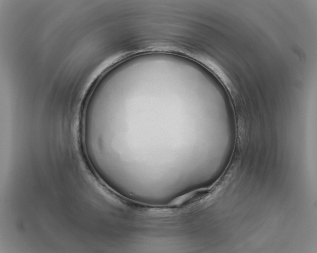 X0000113531142200910161344