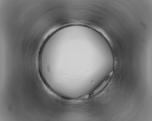 X0000113531143200910161344