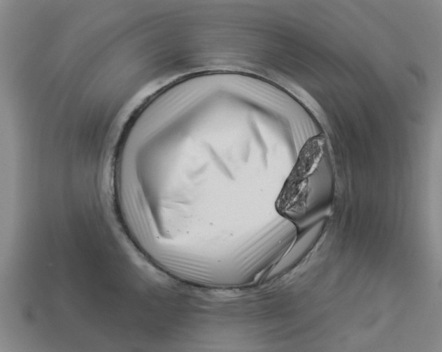 X0000113531144200910161344