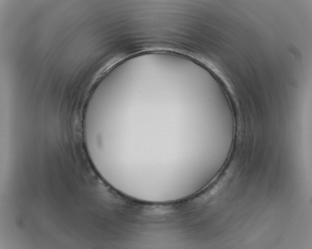 X0000113531145200910161344