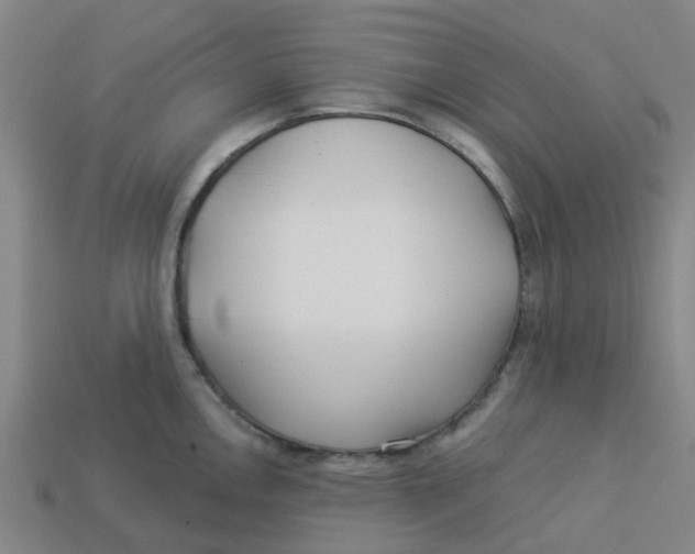 X0000113531146200910161344