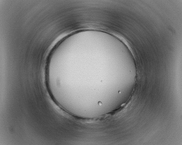 X0000113531147200910161344