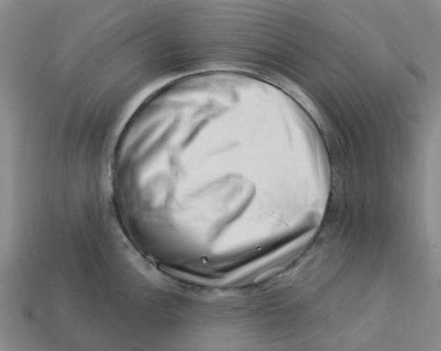 X0000113531148200910161344