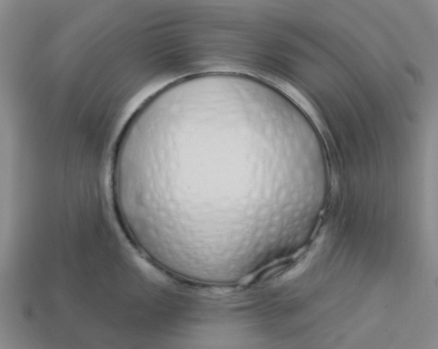 X0000113531149200910161344