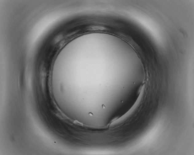 X0000113531151200910161344