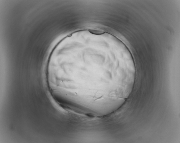 X0000113531152200910161344