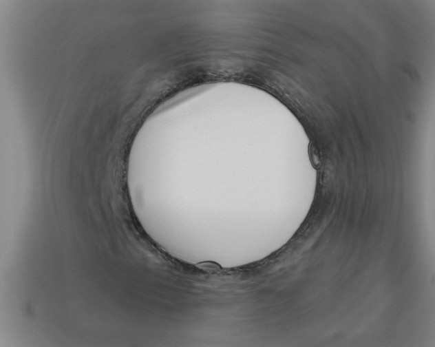 X0000113531153200910161343