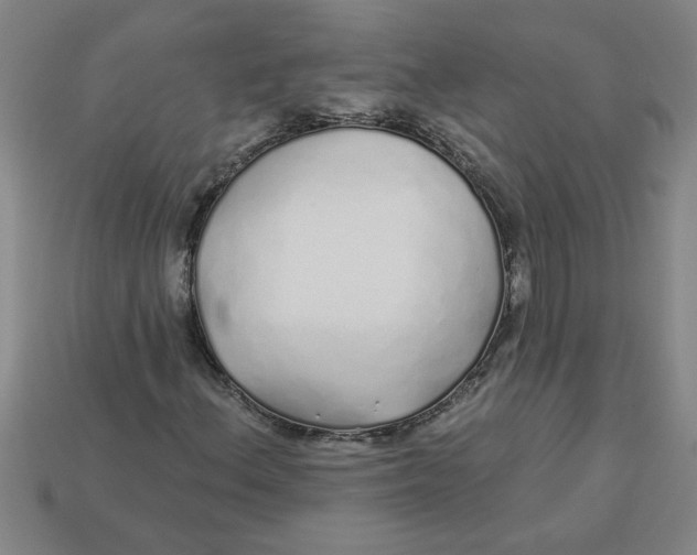 X0000113531156200910161343