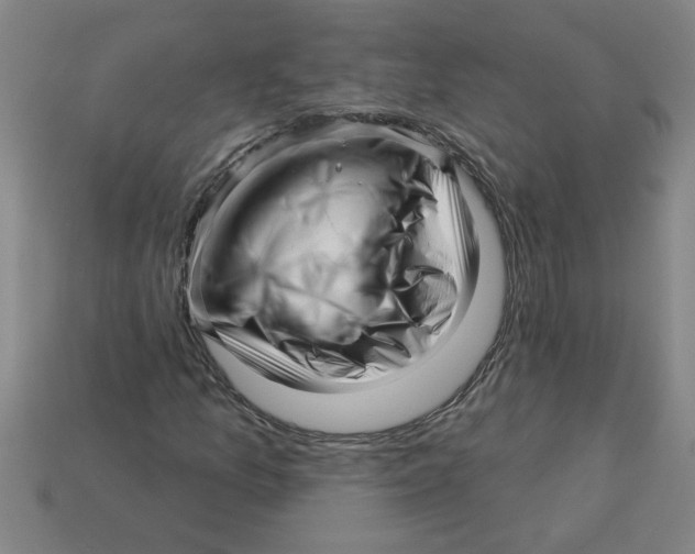 X0000113531157200910161343