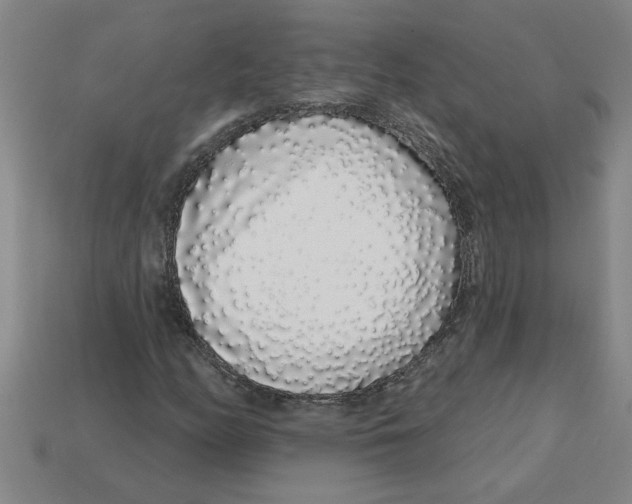 X0000113531158200910161343