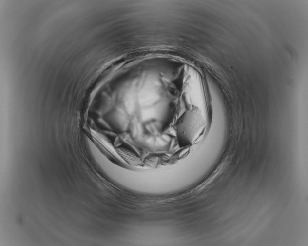 X0000113531161200910161343