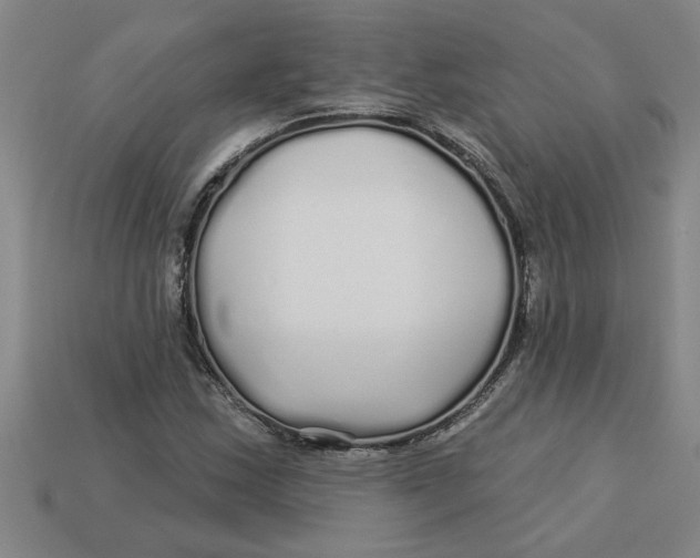 X0000113531163200910161343