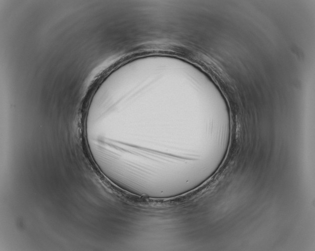 X0000113531164200910161343