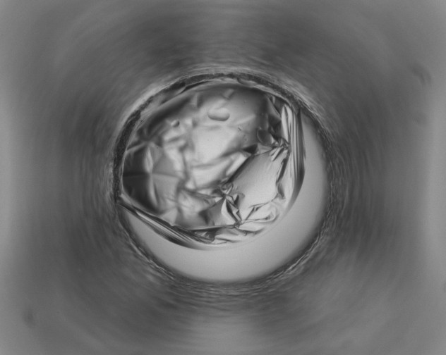 X0000113531165200910161343