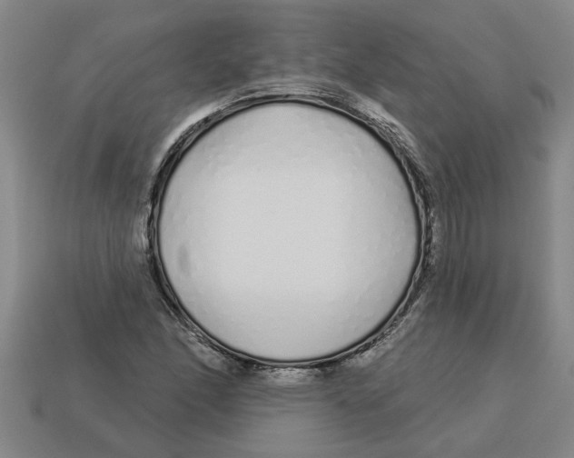 X0000113531166200910161343