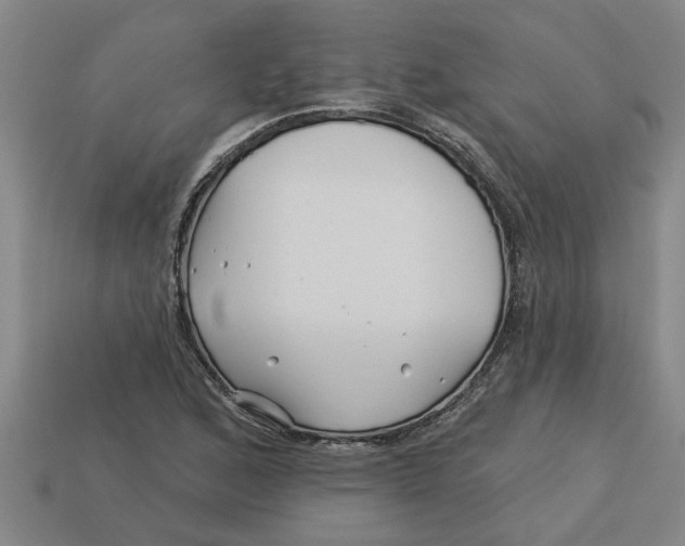 X0000113531168200910161343