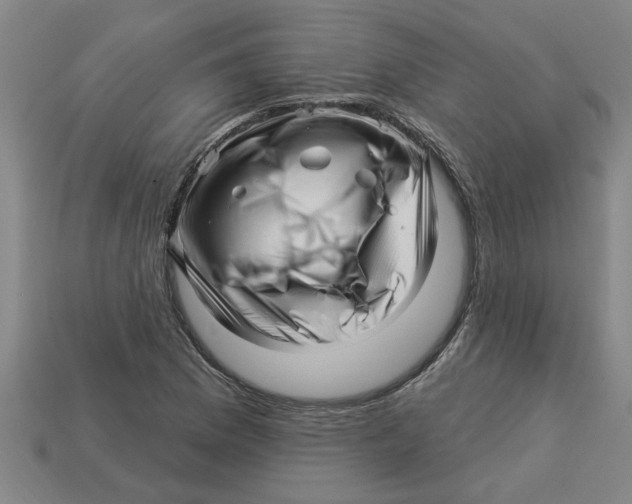 X0000113531169200910161343