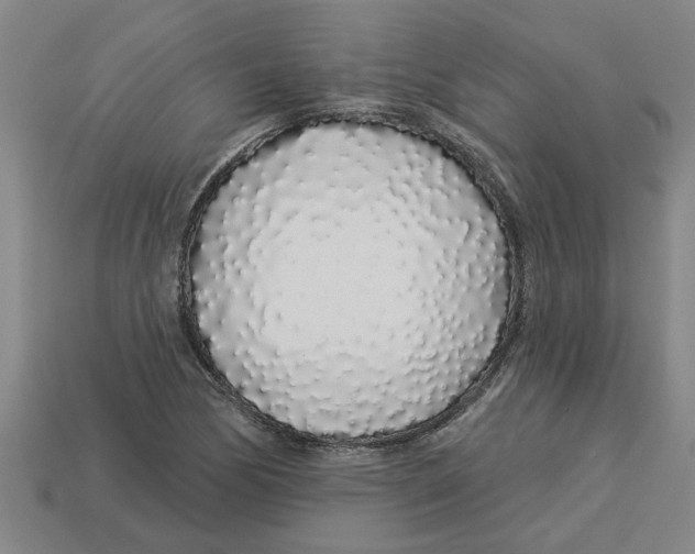 X0000113531170200910161343