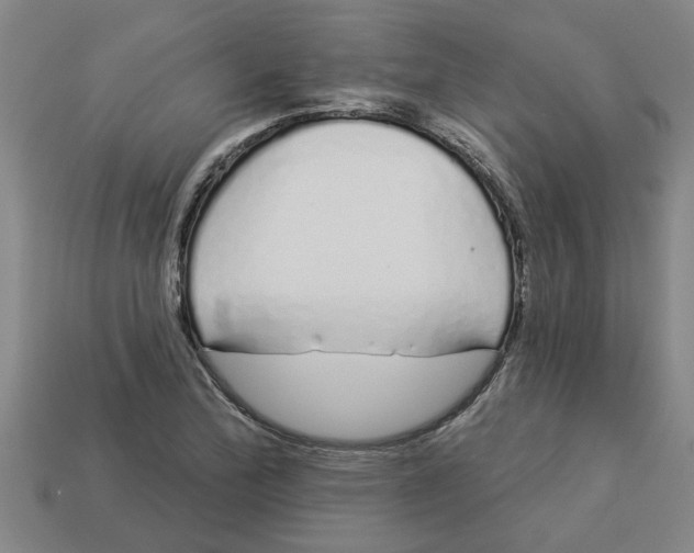 X0000113531172200910161343