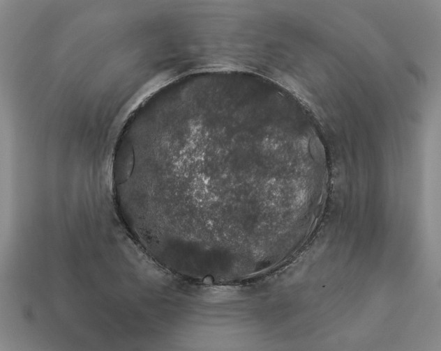 X0000113531173200910161343