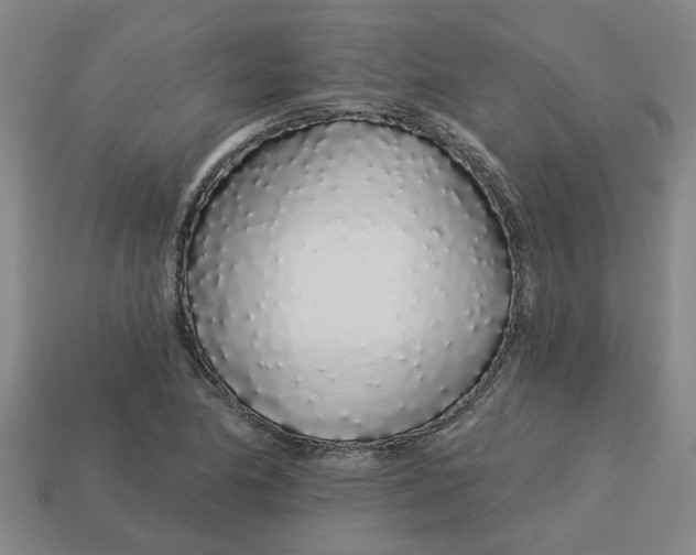 X0000113531174200910161343