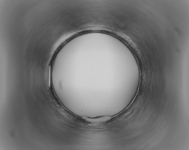 X0000113531175200910161343