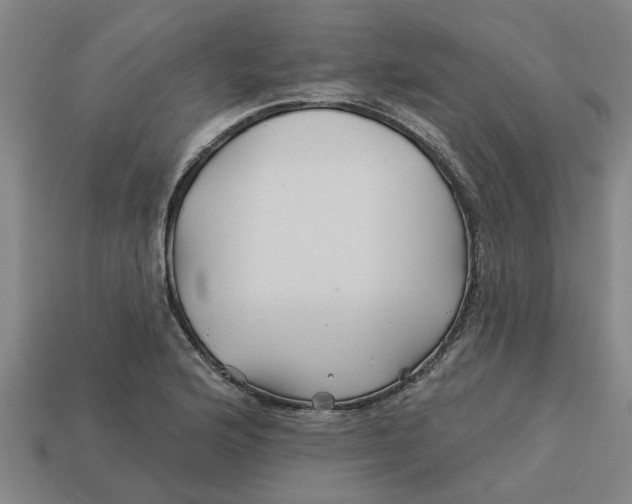 X0000113531176200910161343