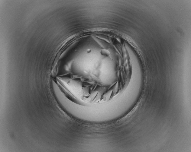 X0000113531177200910161343