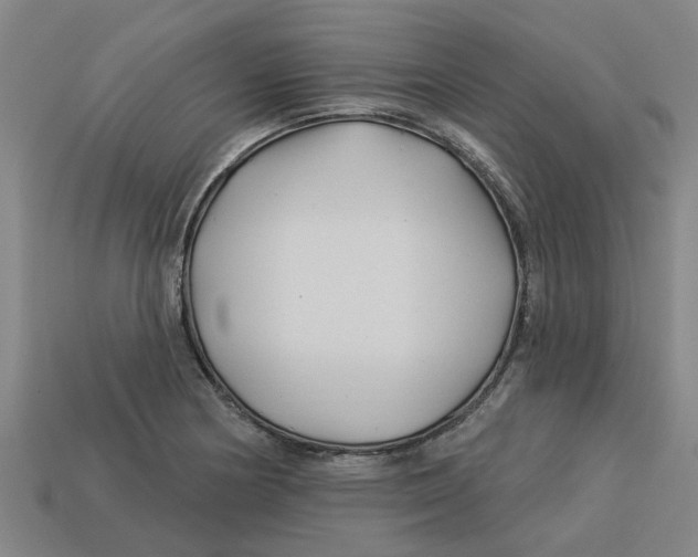 X0000113531178200910161343