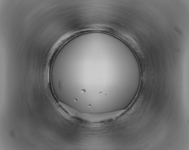 X0000113531180200910161343