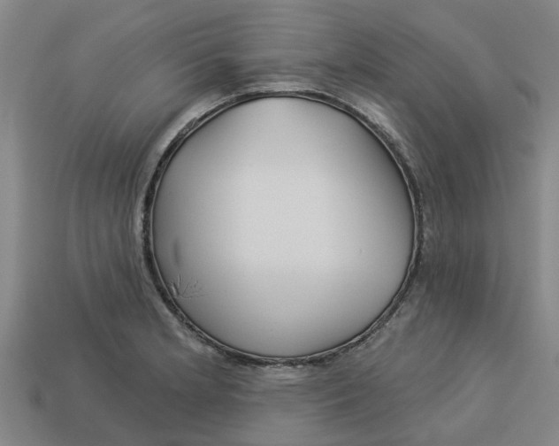 X0000113531181200910161343