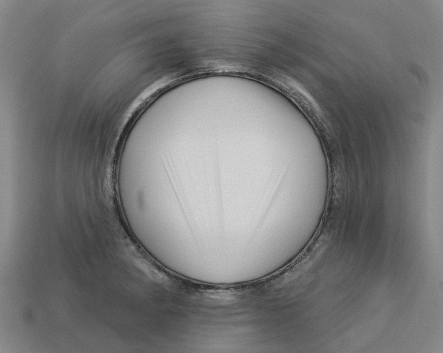 X0000113531182200910161343