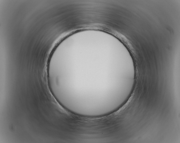 X0000113531184200910161343