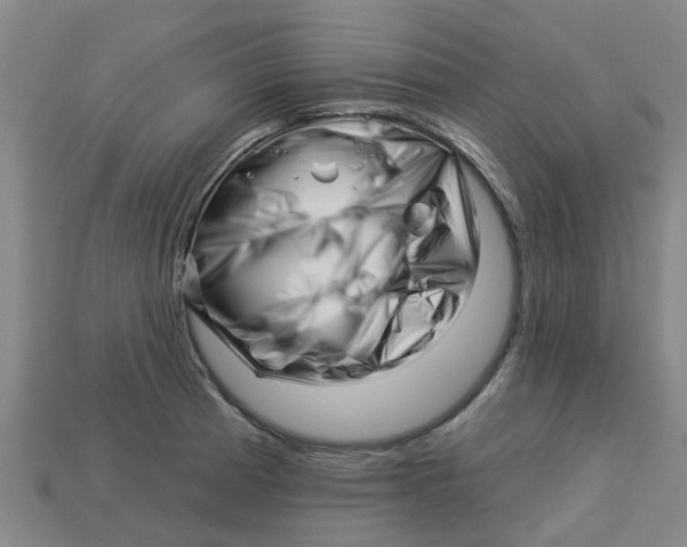 X0000113531185200910161343