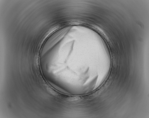 X0000113531186200910161343