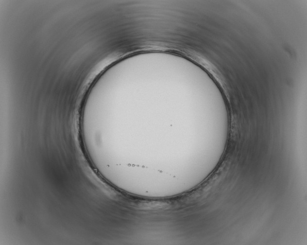 X0000113531187200910161343