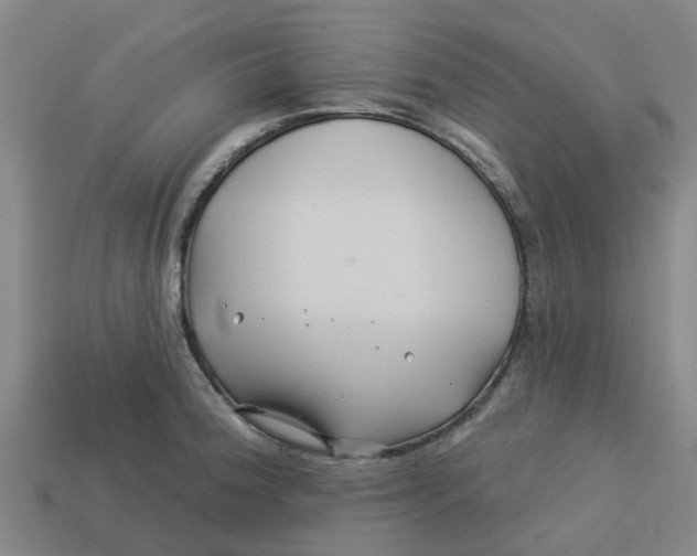 X0000113531188200910161343