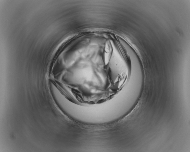 X0000113531189200910161343