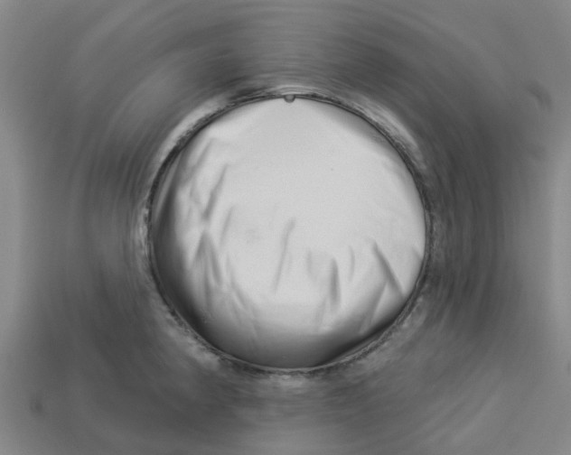 X0000113531190200910161343