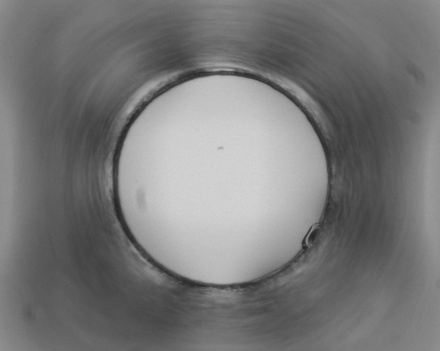 X0000113531191200910161342