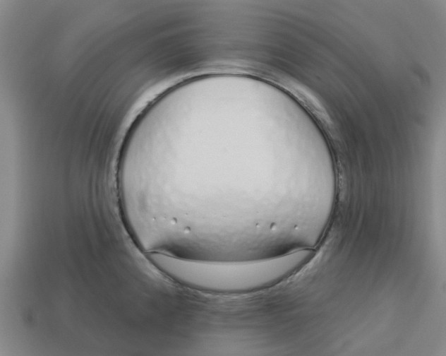 X0000113531192200910161342