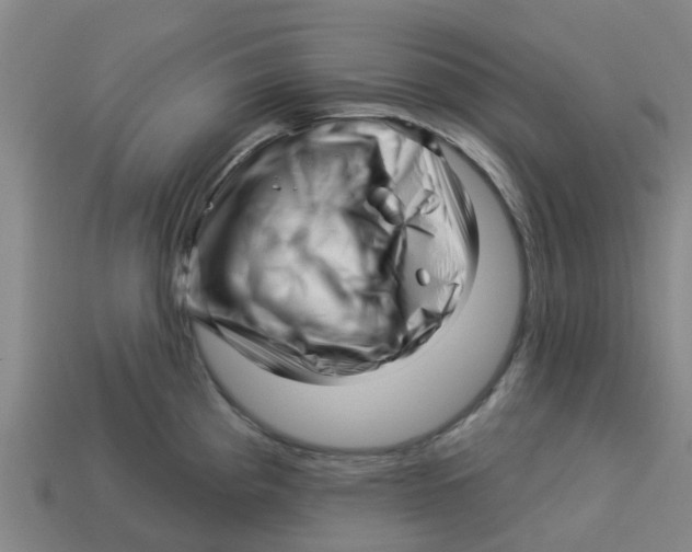 X0000113531193200910161342