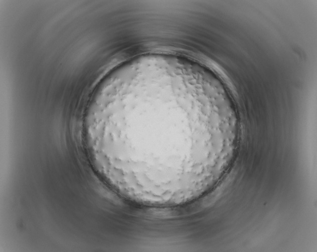 X0000113531194200910161342