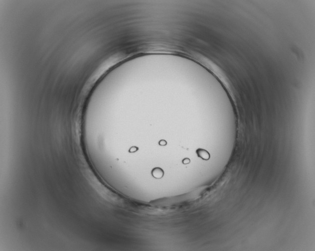 X0000113531195200910161342