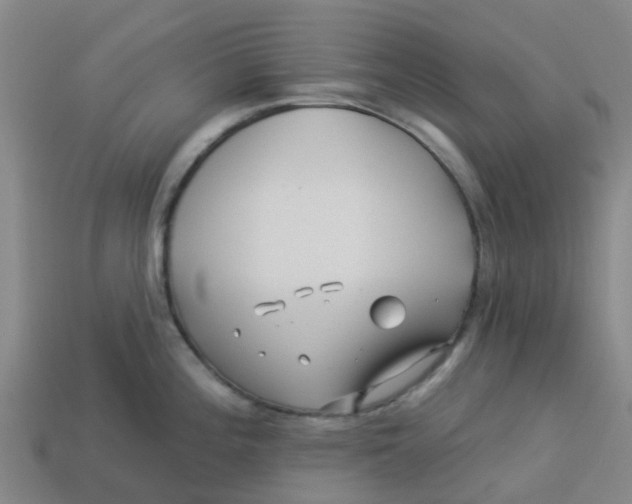 X0000113531196200910161342