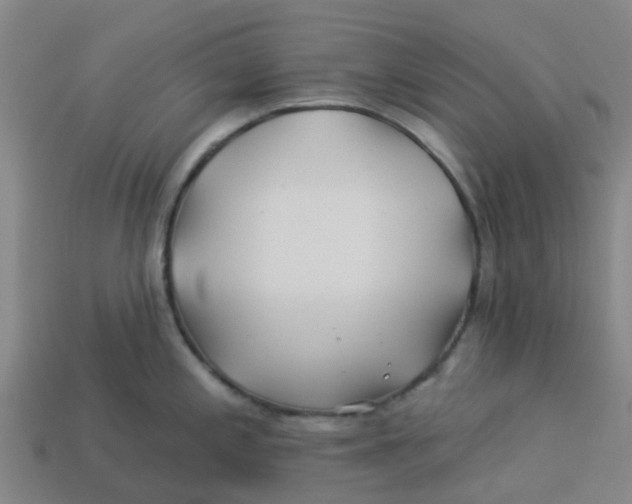 X0000113531197200910161342