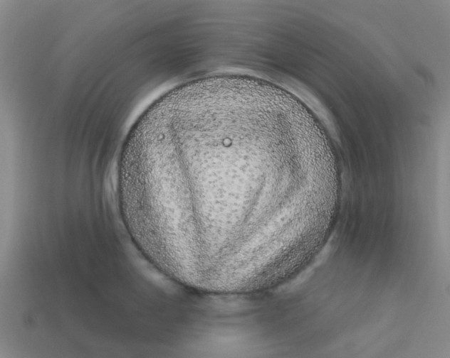 X0000113531198200910161342