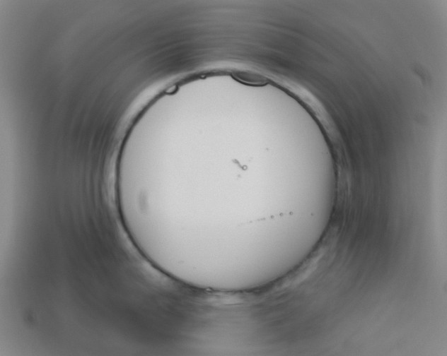 X0000113531199200910161342