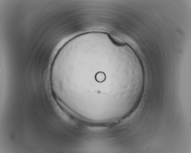 X0000113531200200910161342