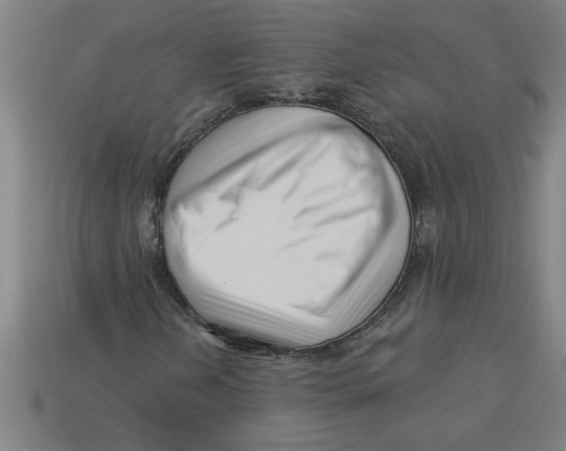 X0000113531202200910161342